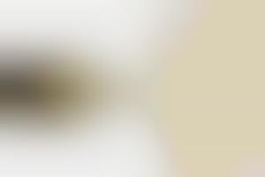 Luxury Geek Goods: The Roberto Cavalli USB Pendant Makes Moving Data Chic