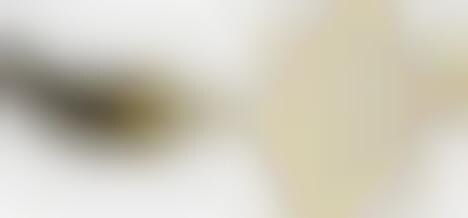 Luxury Geek Goods: The Roberto Cavalli USB Pendant Makes Moving Data Chic