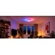Customizable Smart Ceiling Lights Image 1