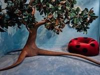 Contemporary Furniture Exhibitions Image 2