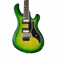 Built-In Vibrato Guitar Designs Image 4