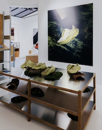 Running Footwear Showrooms Image 1