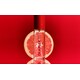 Signature Scent Mists Image 1