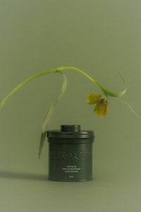 Single-Cultivar Matcha Powders Image 1