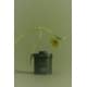 Single-Cultivar Matcha Powders Image 1