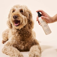 Clinically-Formulated Dog Essentials Image 1