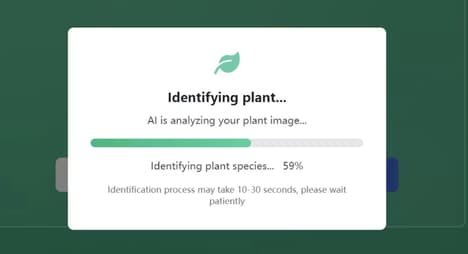 Plant Identifier Apps