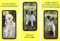 Dog Video Creators