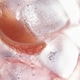 5-in-1 Supplement Drinks Image 2