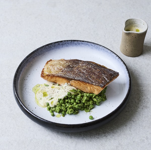 Educational Responsible Seafood Campaigns