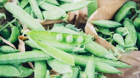 Free-From Pea Protein Ingredients