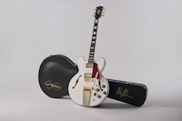 Iconic Stage-Ready Guitar Iterations Image 3