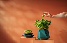 Shapeshifting Plant Pot Systems
