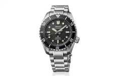 Professional Dive Watches