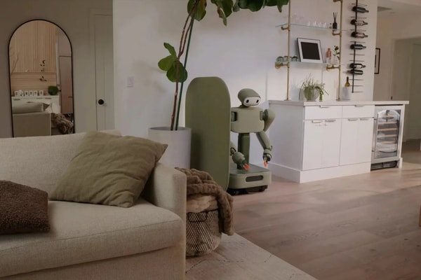 Decor-Inspired Home Robots