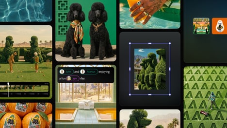 Agentic Creative Platforms