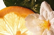 Proven&ccedil;al Estate-Honoring Scents