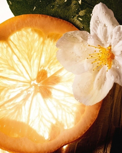 Proven&ccedil;al Estate-Honoring Scents