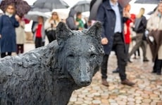 Wolf-Inspired Public Art Installation