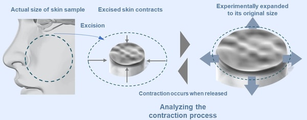 Skin Tension Skincare