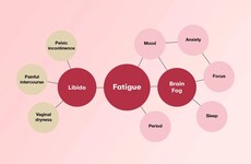 Menopausal Data-Driven Reports