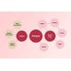 Menopausal Data-Driven Reports Image 1
