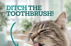 Cat Oral Care Gels