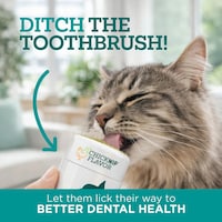 Cat Oral Care Gels Image 1