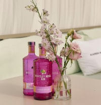 Dazzling Gin-Inspired Dresses Image 2