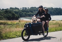 Familial Four-Person eBikes Image 2