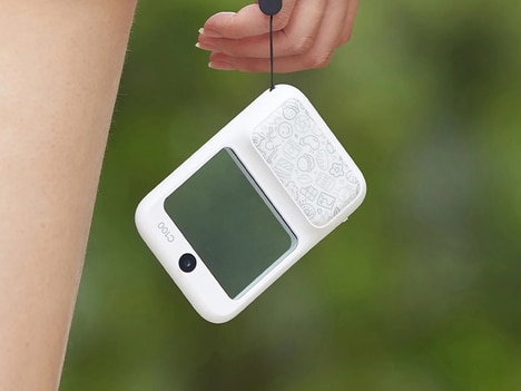 Transparent Digital Cameras
