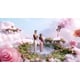 Escapist Haircare Campaigns Image 1