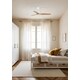 Modern Climate-Conscious Ceiling Fans Image 4