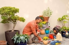 Complimentary Parent Insurance Promotions