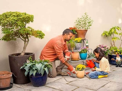 Complimentary Parent Insurance Promotions