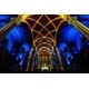 Immersive Multimedia Experiences Image 2