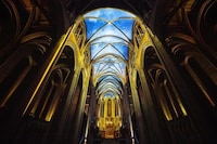 Immersive Multimedia Experiences Image 5