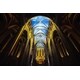 Immersive Multimedia Experiences Image 5