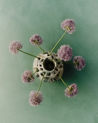 Designer Home Collections Image 2