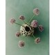 Designer Home Collections Image 2