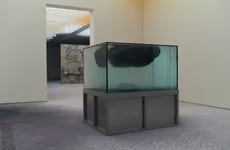 Immersive Art Exhibitions