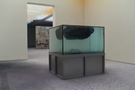 Immersive Art Exhibitions