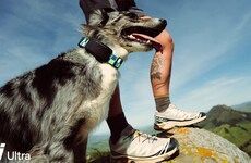 Satellite-Powered Pet Trackers