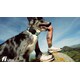 Satellite-Powered Pet Trackers Image 1