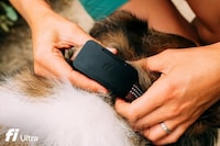 Satellite-Powered Pet Trackers Image 2