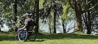 Digital Accessibility Mapping Initiatives