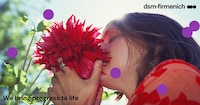 K-Scent Experiences