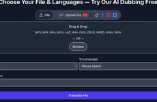 AI Video Translation Platforms