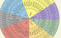 Emotion Awareness Tools