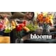 Bouquet Modeling Kits Image 1